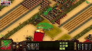 随便玩玩~~开丸！好玩爱玩！~