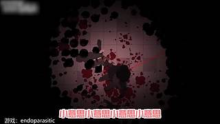 【轮播】女流66的直播