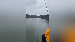 亮gnailux的直播间