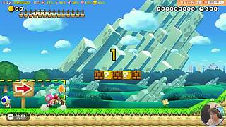 我可能玩了假的马里奥