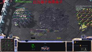 进来学习如何当一名金牌精算师(已出扇子)