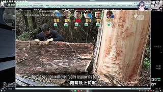 【小奶团】眼睛有点花，要瞎掉了吗