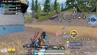 国服第一AKS大师小菜鸡