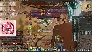 双梦恶人主播~【ob龙虎阵营战】