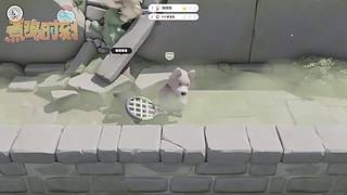 【轮播】煮鸡时刻 再看亿集