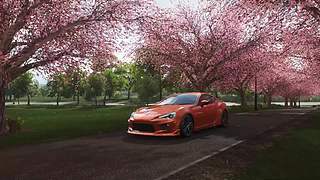 风景-----马拉松