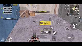 小白多多关照 9164531