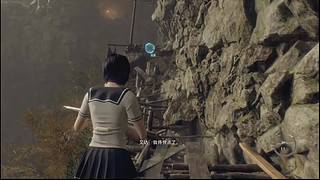 播个王阿姨的DLC