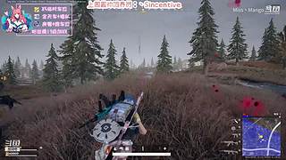 日常摆烂 随机播~