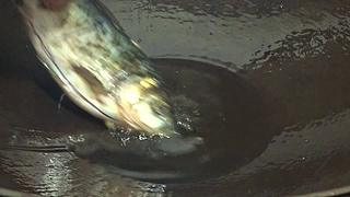 乡土记食的直播间