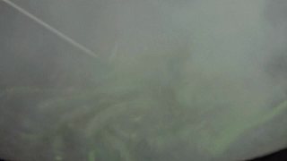 乡土记食的直播间