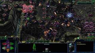 掉宝皮肤直播间