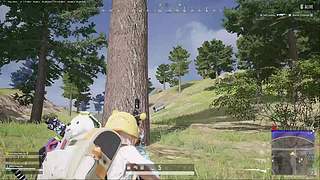 Z1375270的直播间