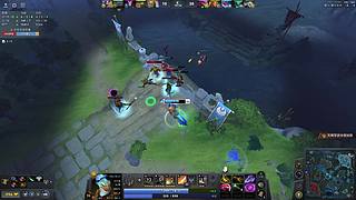 有理性思维的脊椎动物