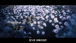 深渊的呼唤Ⅸ小组赛DAY8