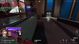 （小奶团）回来了