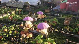 重生你在诡异的七日世界