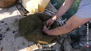 环球纪录片我去看世界的直播间