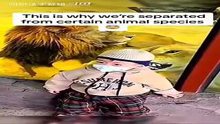 阿尔法小分队的最新视频