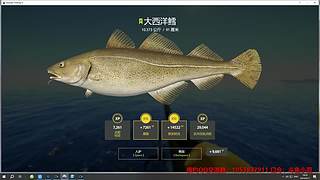 55级 老登~教你玩俄钓