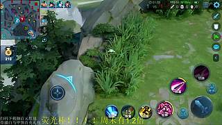 大神主播英雄教学合集(每日加入新数据！)