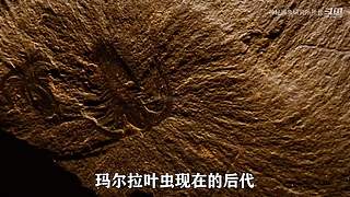 神秘现象研究调查报告！