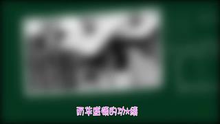 历史老撕的直播间