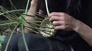 东南亚丛林生活实录