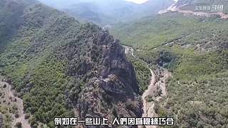 王生怪谈奇闻怪事