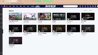 【CSTG】白菜：玩完异环玩暗黑4