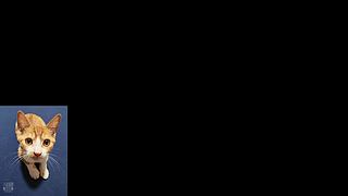 真能活下来吗