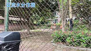 重生之在闹团直播