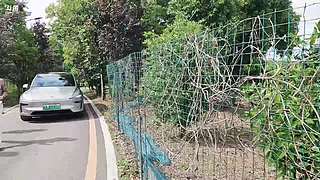 灿团S5筹备中。