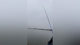 亮gnailux的直播间