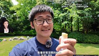 十三：电子陪伴专业户