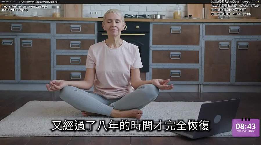 老高与小茉系列剧