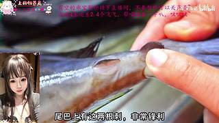 【双倍】奶喵喵超级无敌白，希望有奇迹