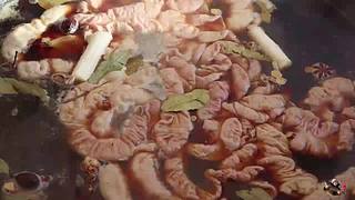 来来嗨嗨嗨
来来来