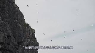 你的海南军阀给你带来最地道的赶海