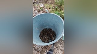 蜈蚣岭抓获猛人