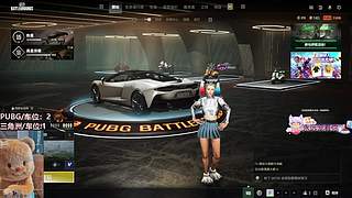 PUBG。三角洲都可（有位）