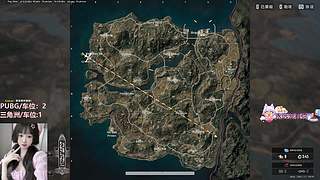PUBG。三角洲都可（有位）