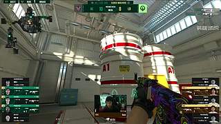 ACL CS2封闭预选赛Day3