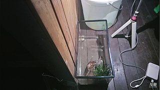 北极昕的直播间