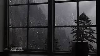 失眠的时候听听下雨的声音吧