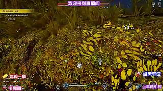 江湖任务刷新规律分享