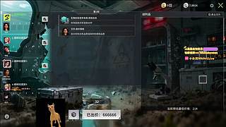 【小白鸽】下午好 小宝们~