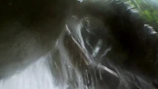 荒野求生，带大家体验不一样的生活