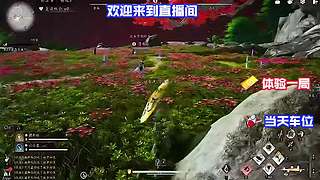 反向通关输学猫叫​