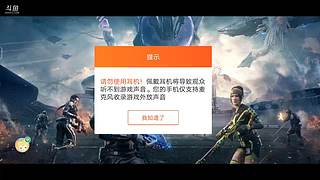 原始森林的虎